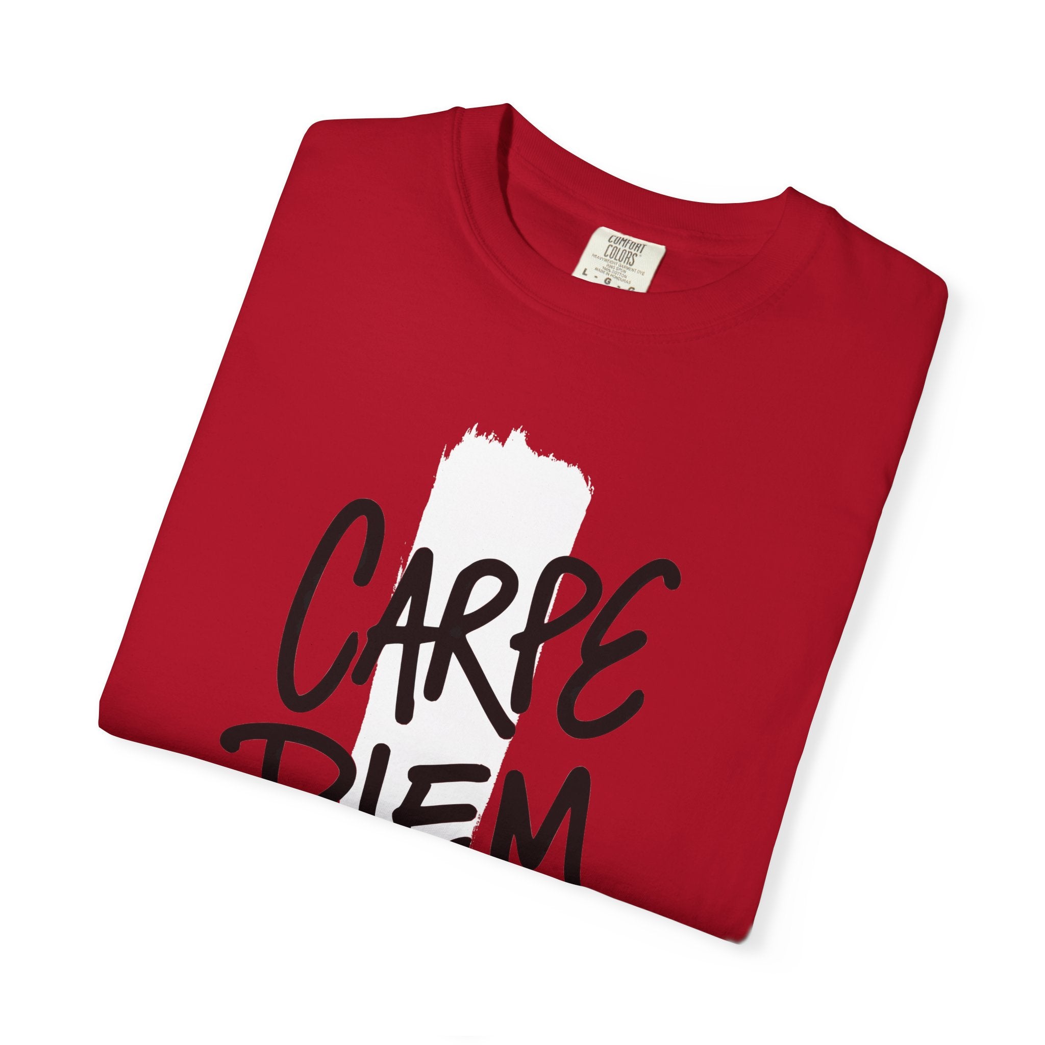 Carpe Diem Brushstroke T-shirt | Inspirational Quote Tee