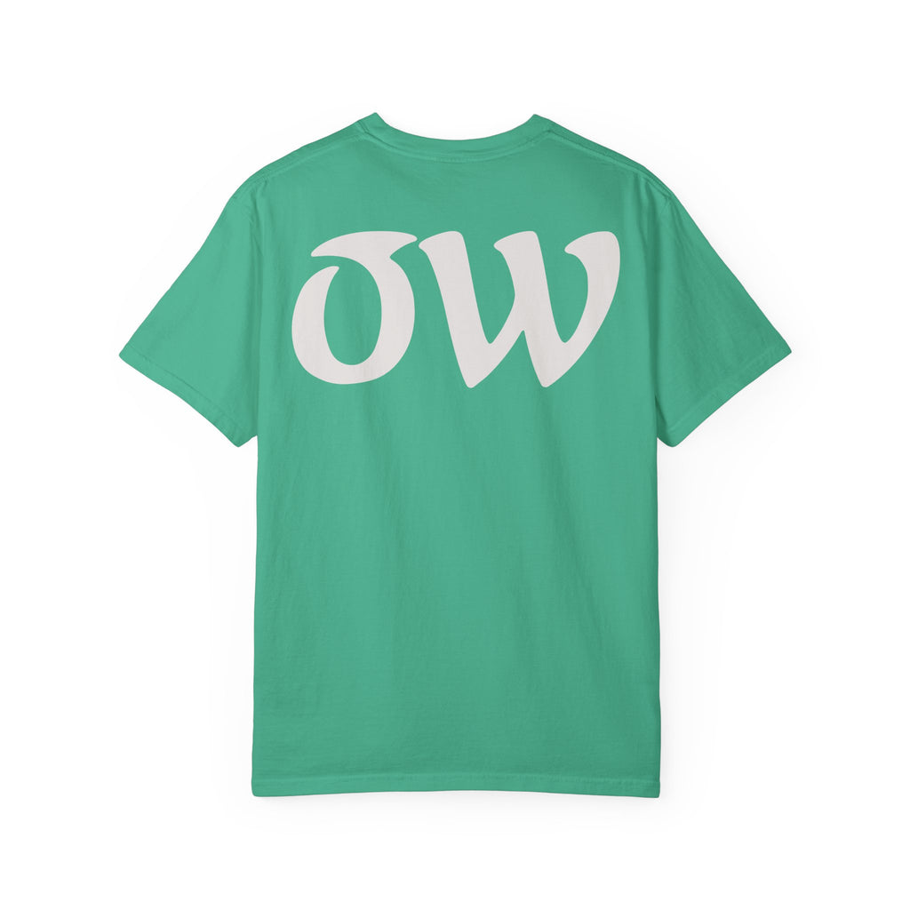 Every saint has a past and every sinner has a future T-Shirt | "OW" Logo with Inspirational Quote