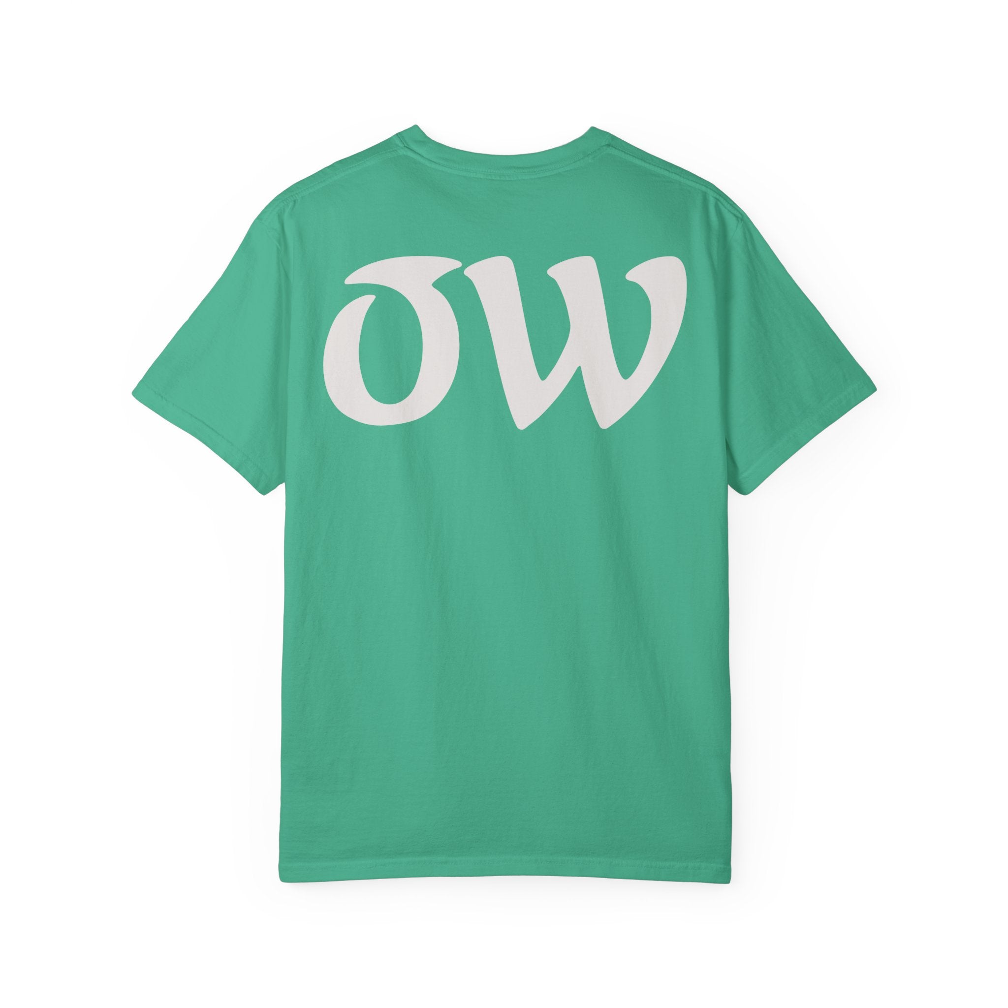 Every saint has a past and every sinner has a future T-Shirt | "OW" Logo with Inspirational Quote
