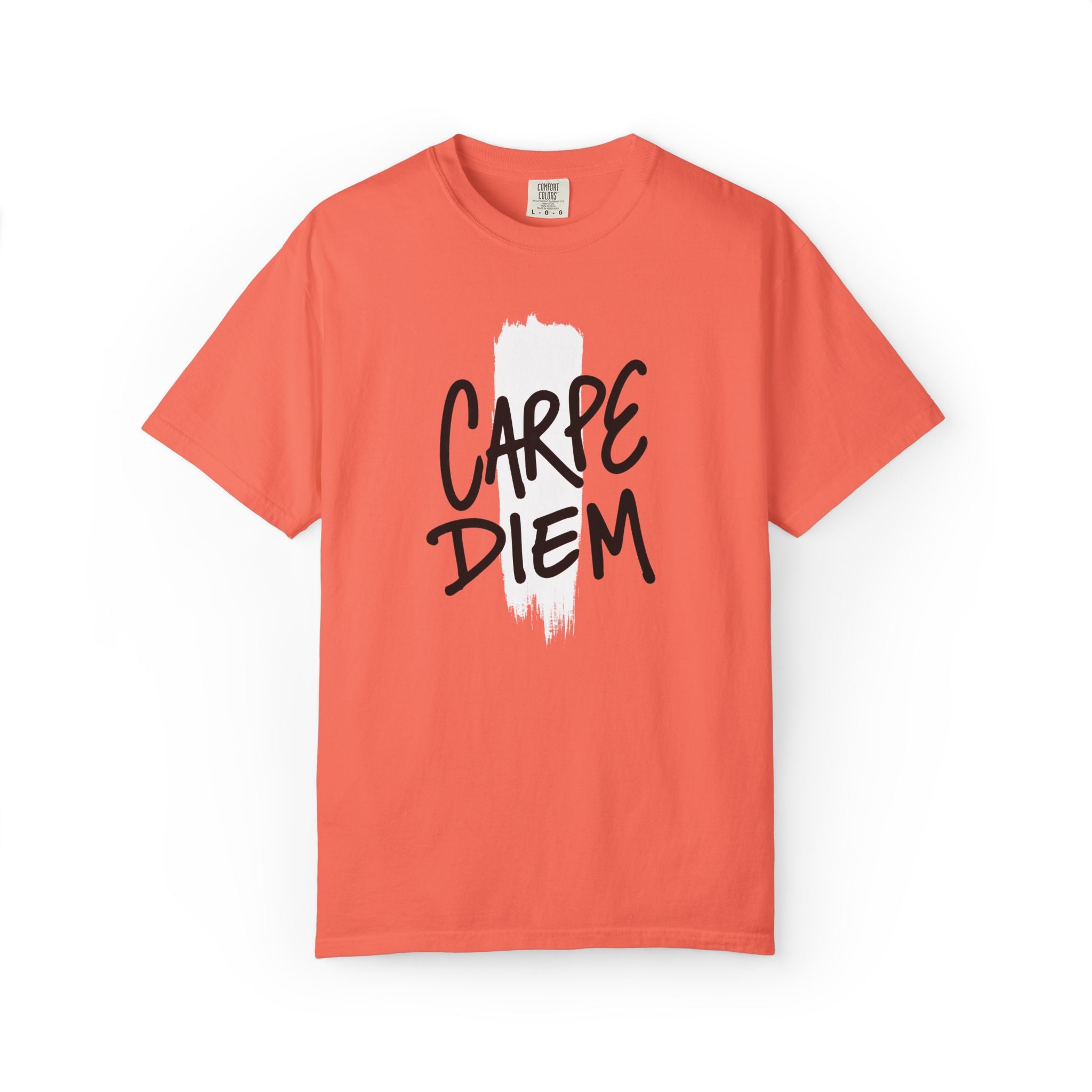 Carpe Diem Brushstroke T-shirt | Inspirational Quote Tee