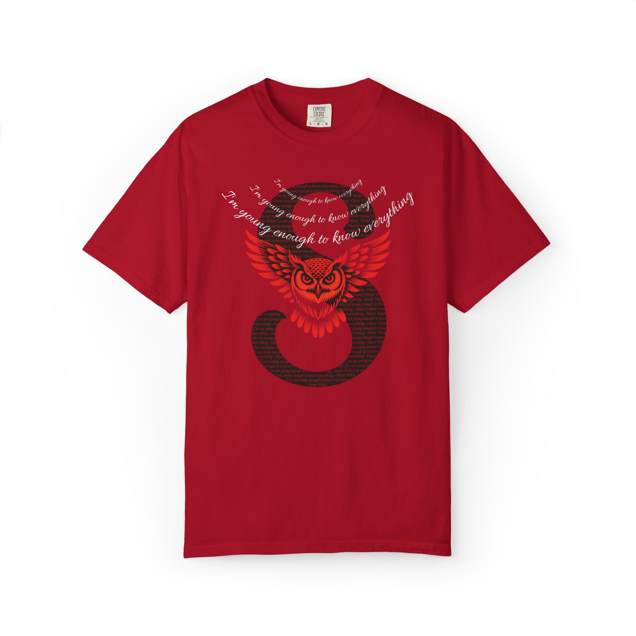I'm young enough to know everything T-Shirt | Owl Wings & Serpent S Graphic