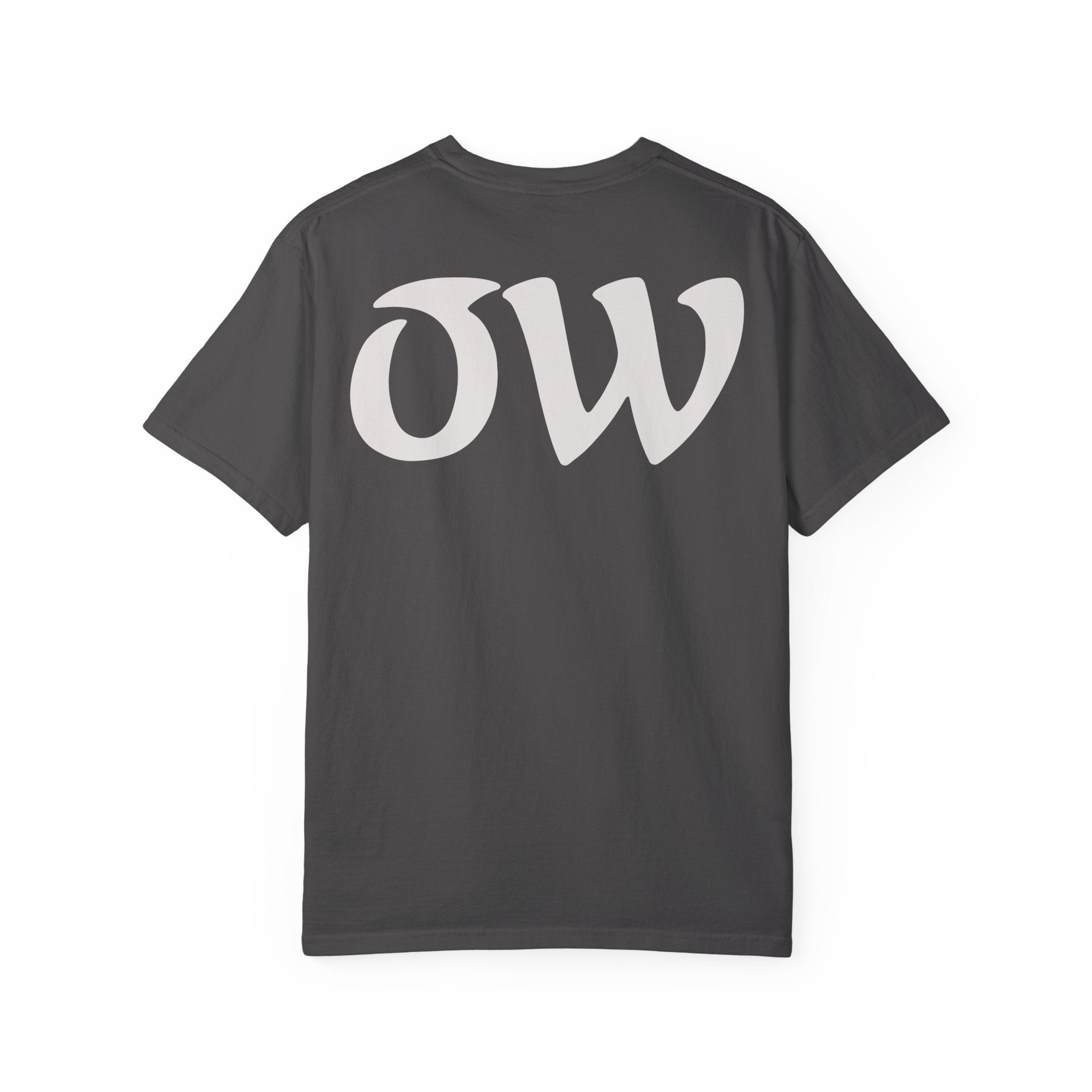 Every saint has a past and every sinner has a future T-Shirt | "OW" Logo with Inspirational Quote