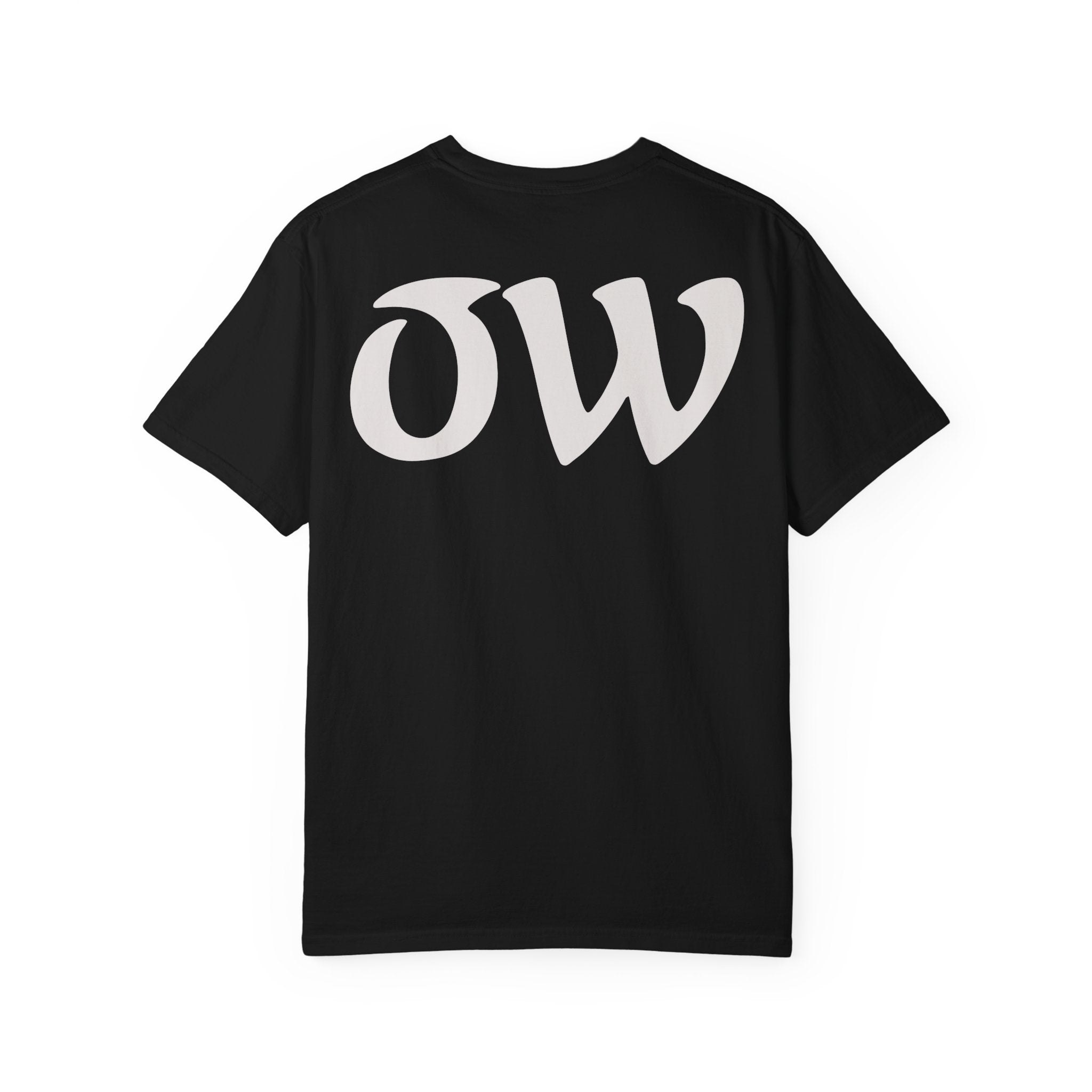 Every saint has a past and every sinner has a future T-Shirt | "OW" Logo with Inspirational Quote