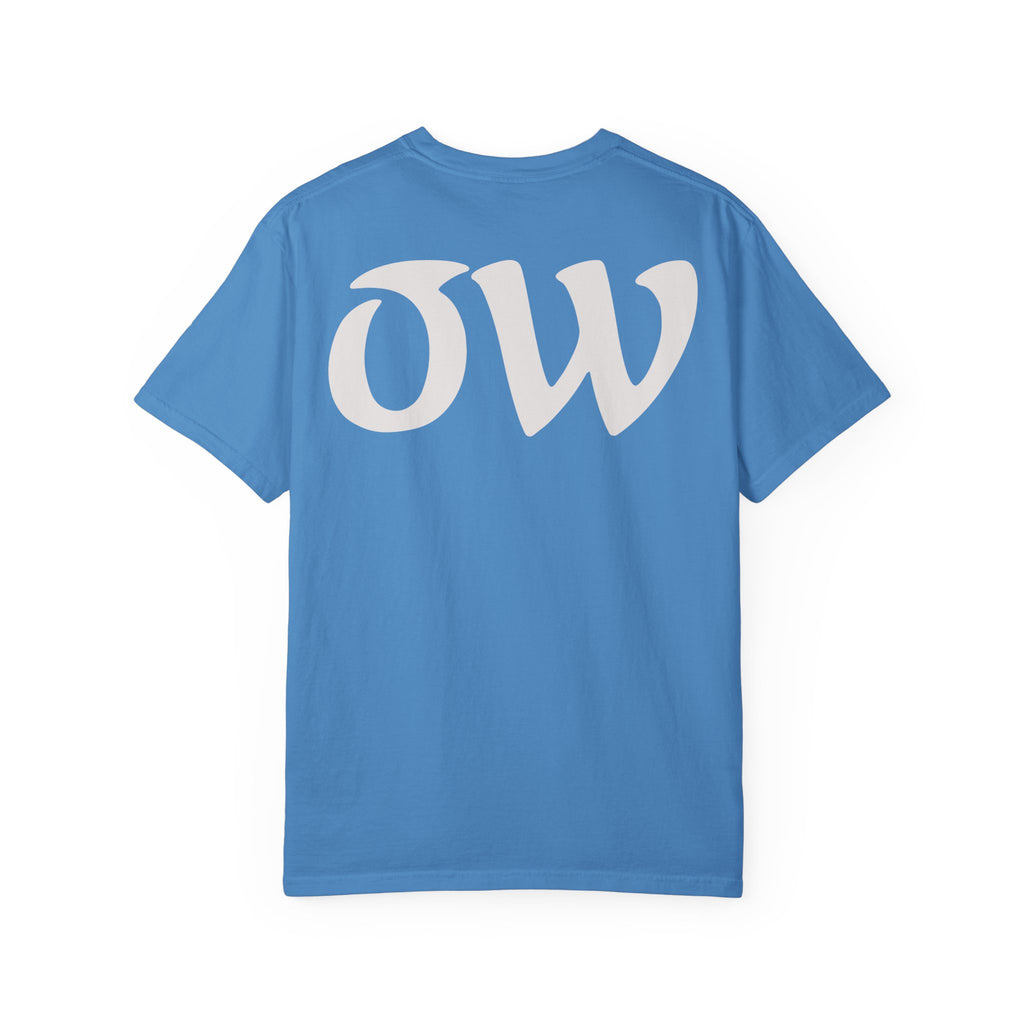 Every saint has a past and every sinner has a future T-Shirt | "OW" Logo with Inspirational Quote