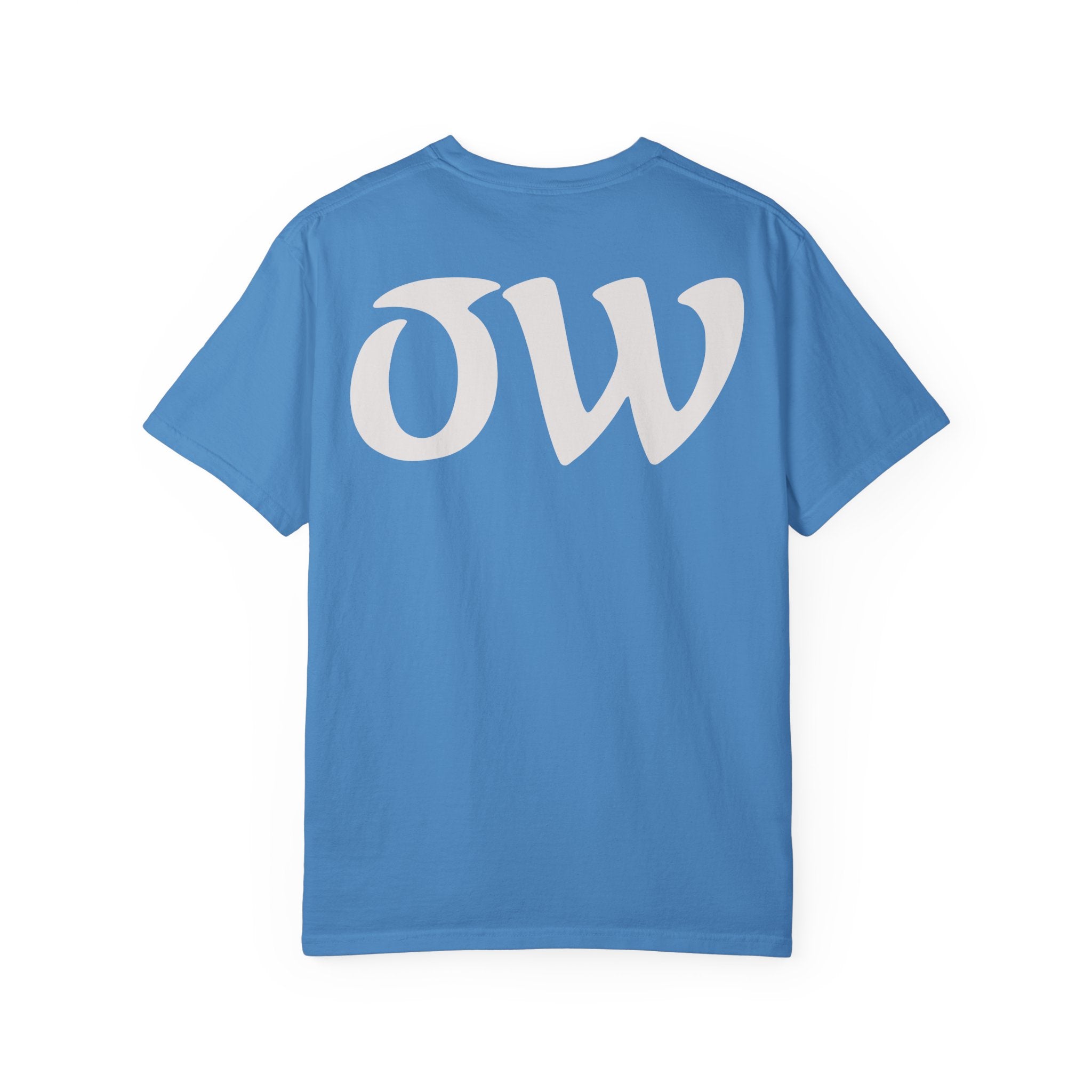 Every saint has a past and every sinner has a future T-Shirt | "OW" Logo with Inspirational Quote