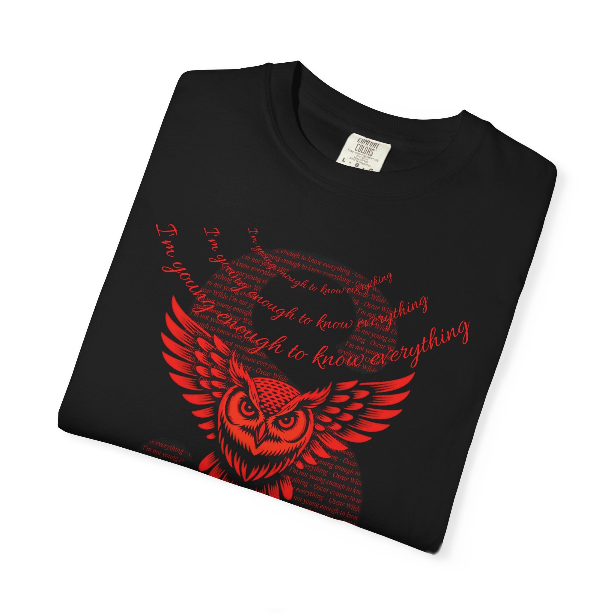 I'm young enough to know everything T-Shirt | Owl Wings & Serpent S Graphic