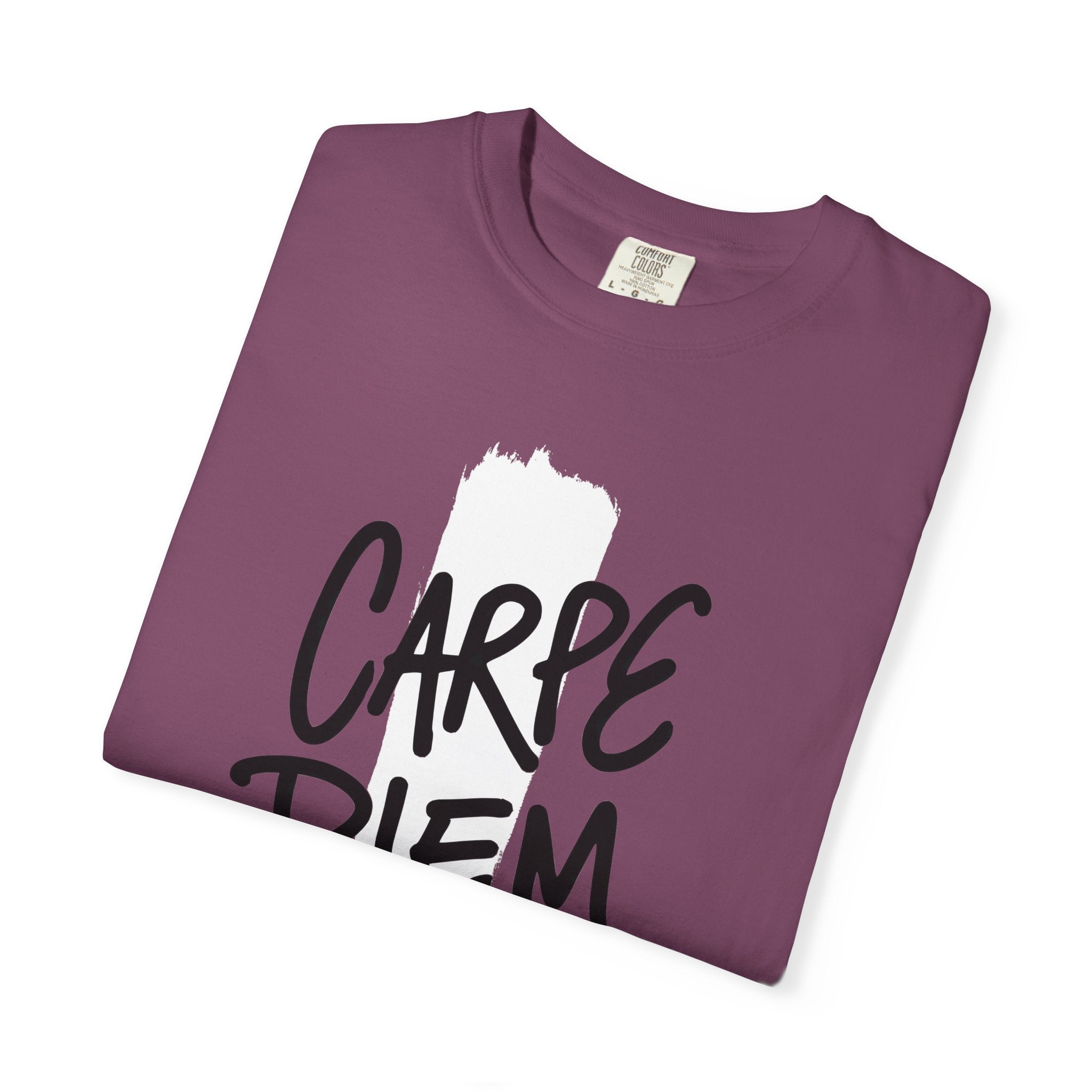 Carpe Diem Brushstroke T-shirt | Inspirational Quote Tee