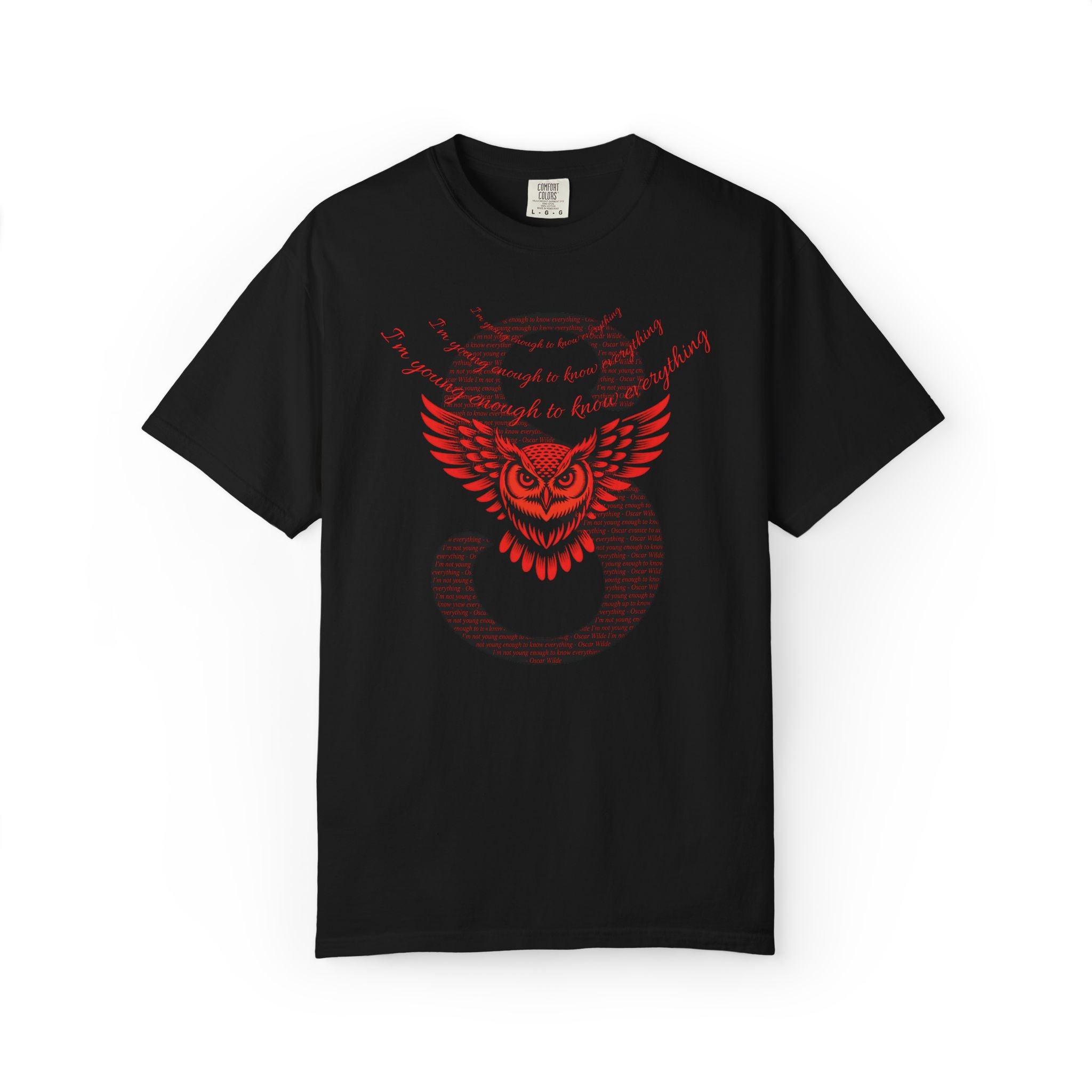I'm young enough to know everything T-Shirt | Owl Wings & Serpent S Graphic