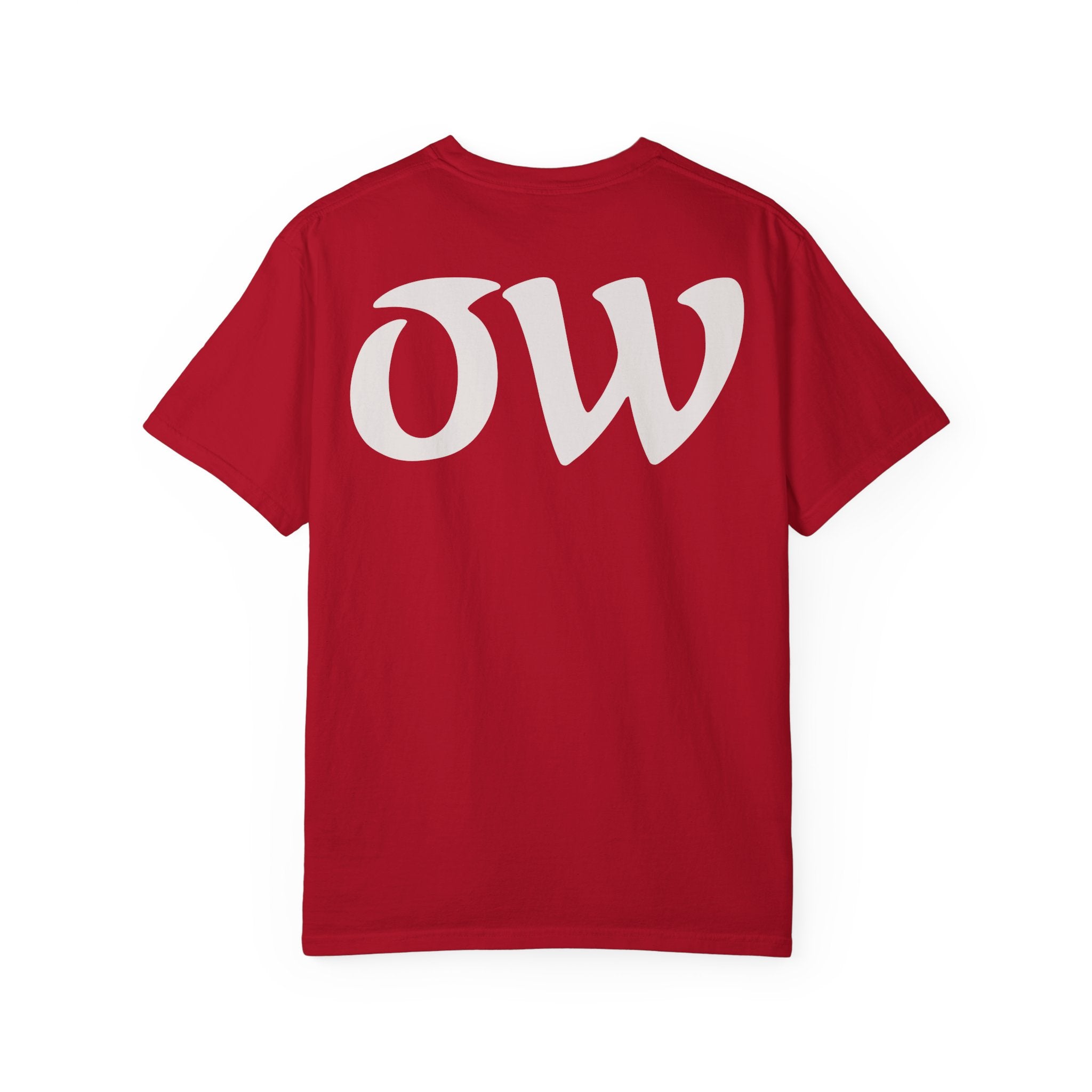 Every saint has a past and every sinner has a future T-Shirt | "OW" Logo with Inspirational Quote