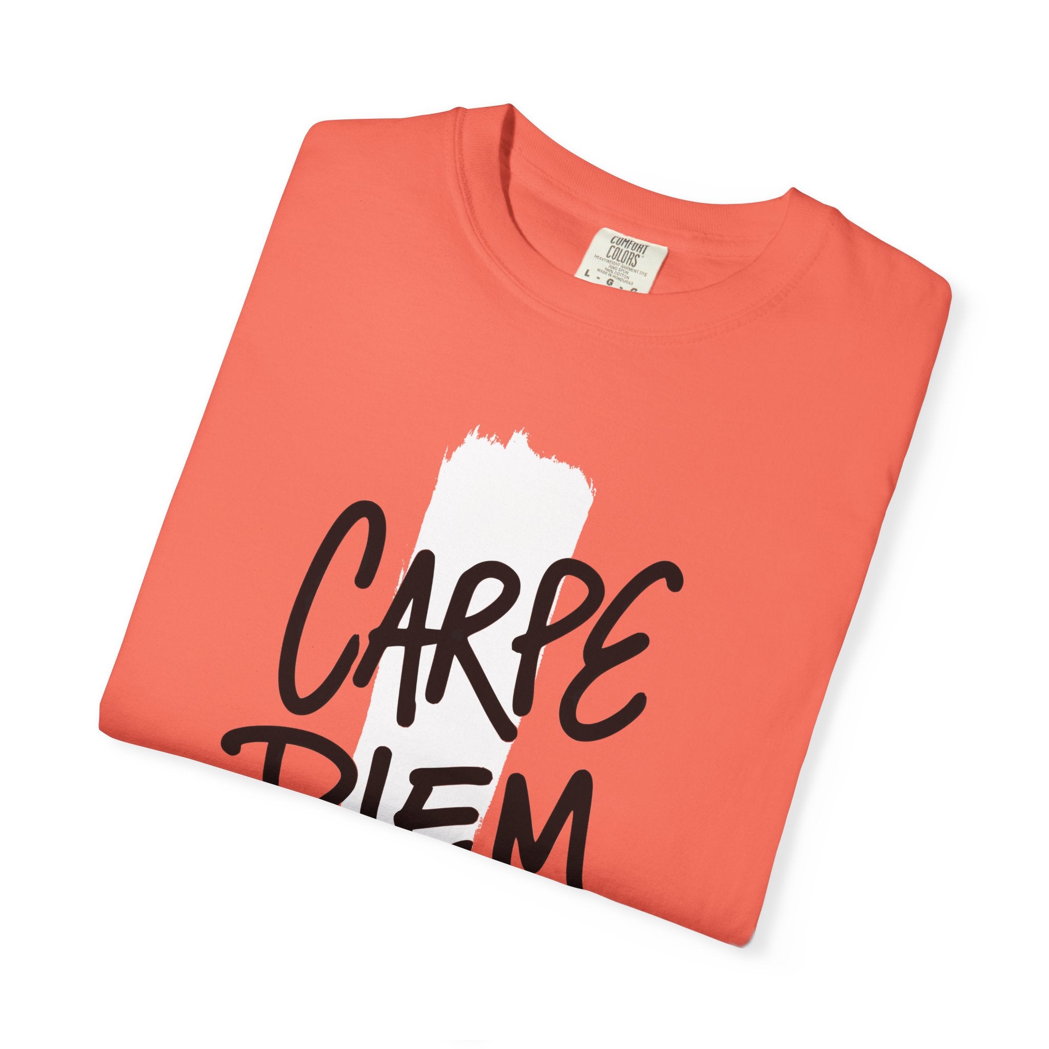 Carpe Diem Brushstroke T-shirt | Inspirational Quote Tee
